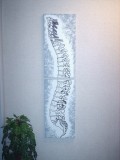 ChiropracticArt.com Hand Painted Spine Painting: 4 Feet Tall!